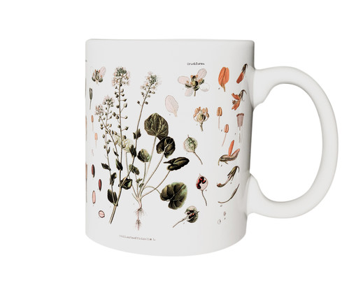 Caneca Herbarium, Colorido | WestwingNow