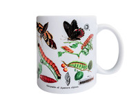 Caneca Papilio | WestwingNow