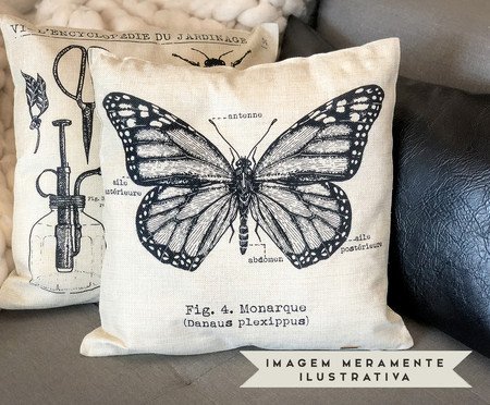 Capa de Almofada Borboleta | Westwing