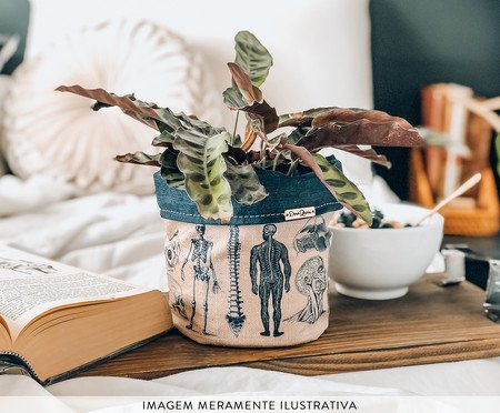 Cachepot Anatomia | Westwing