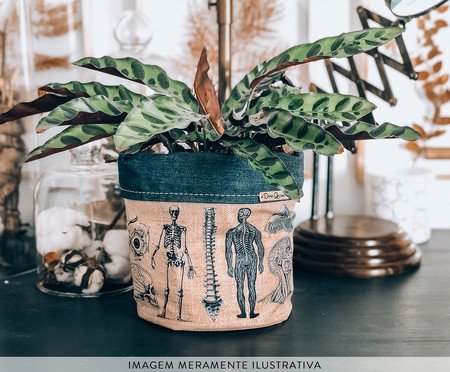 Cachepot Anatomia | Westwing