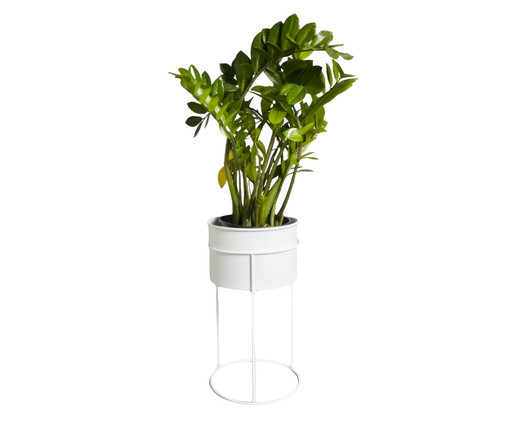 Suporte de Plantas com Vaso Humaitá Branco, Branco | WestwingNow