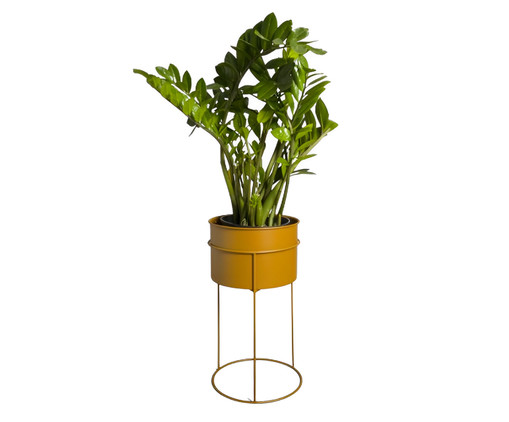 Suporte de Plantas com Vaso Humaitá Terracota, Terracota | WestwingNow