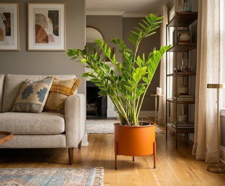Suporte de Plantas com Vaso Slim Humaitá Terracota | Westwing