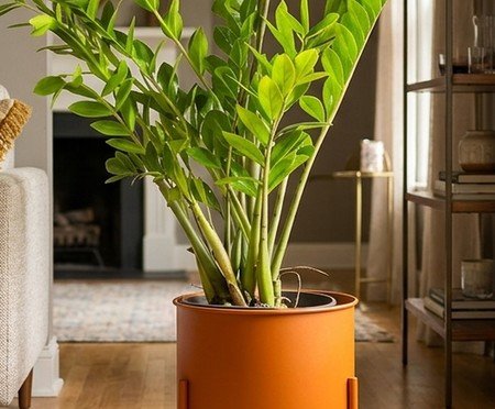 Suporte de Plantas com Vaso Slim Humaitá Terracota | Westwing