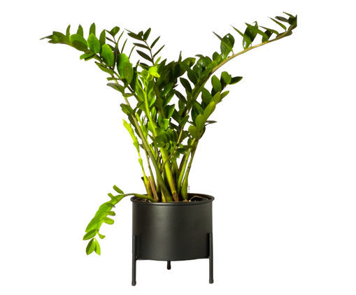 Suporte de Plantas com Vaso Slim Humaitá Preto, Preto | WestwingNow