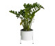 Suporte de Plantas com Vaso Slim Humaitá Branco, Branco | WestwingNow