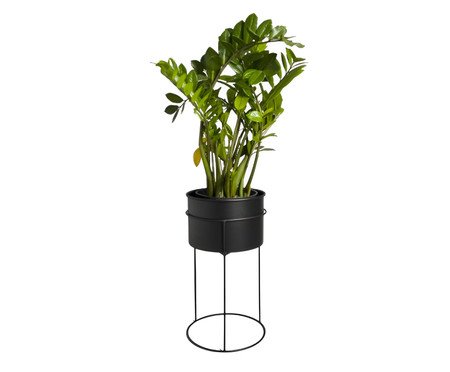 Suporte de Plantas com Vaso Humaitá Preto | Westwing