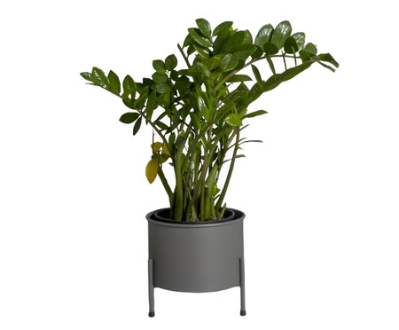 Suporte de Plantas com Vaso Slim Humaitá Cinza