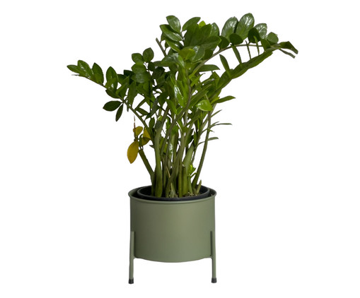 Suporte de Plantas com Vaso Slim Humaitá Verde Oliva, Verde | WestwingNow