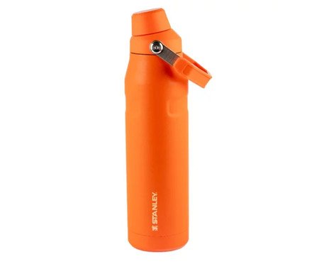 Garrafa Térmica Aerolight Fast Flow Tigerlily - 1,1L | Westwing