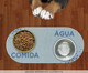 Tapete Comedouro Pet Elipse Azul I, Azul | WestwingNow