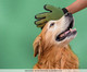 Luva Mágica Removedora de Pelos Pet, Verde | WestwingNow