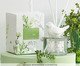 Difusor de Ambiente com Varetas Verbena - 250ml, Transparente | WestwingNow