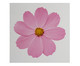 Placa de Madeira Estampada Flor, Colorido | WestwingNow
