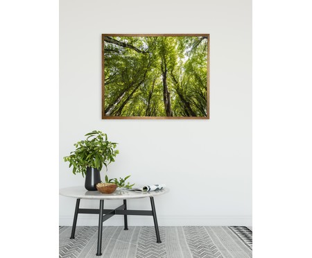Quadro com Vidro Árvores - 90x70 | WestwingNow