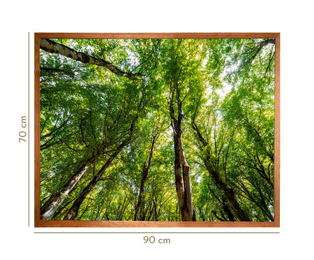 Quadro com Vidro Árvores - 90x70 | WestwingNow