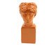 Vaso para Flor Dimitri Terracota, Laranja | WestwingNow