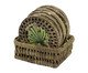 Jogo de 06 Peças Fibra Natural Palmeira com Base, green | WestwingNow