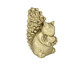 Esquilo Natalino Decorativo Dourado, gold | WestwingNow