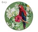 Jogo de Pratos para Sobremesa Macaw em Cerâmica - Colorido, Colorido | WestwingNow