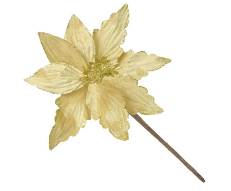 Flor Natalina Dourado