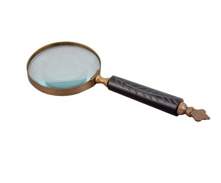 Lupa Florence - Preto | Westwing