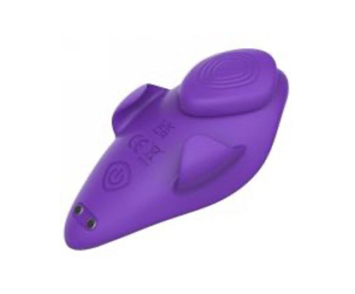 Vibrador Calcinha Controle sem Fio Secret Roxo, Roxo | WestwingNow