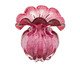 Vaso Italy Rosa, Rosa | WestwingNow