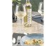 Vinho Chardonnay e Viognier Terroir Xxvii - 750ml, Transparente | WestwingNow