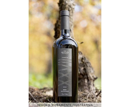 Vinho Merlot Terroir Xxvii - 750ml | Westwing