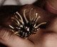Anel Brigida, silver or metallic | WestwingNow