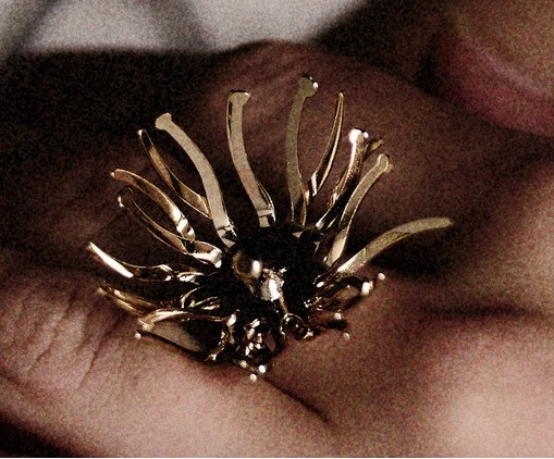 Anel Brigida, silver or metallic | WestwingNow