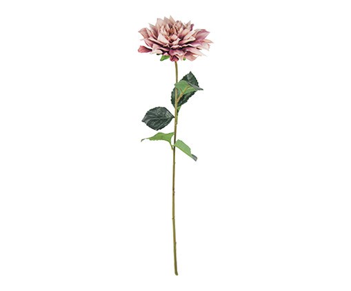 Planta Permanente Galho Dahlia Pk Gnini, Rosa | WestwingNow