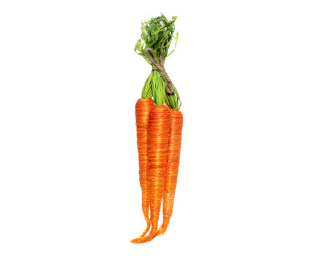 Jogo de Cenouras Decorativas Carrot