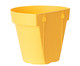 Vaso Bari de Parede Amarelo, Amarelo | WestwingNow