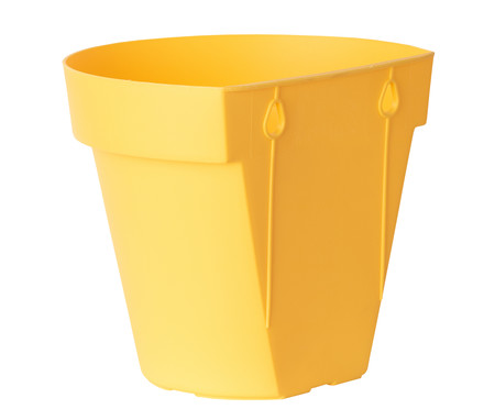 Vaso Bari de Parede Amarelo | WestwingNow