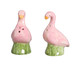 Jogo de Saleiro e Pimenteiro em Cerâmica Flamingo - Rosa, Colorido | WestwingNow