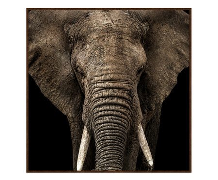 Quadro Pacsi | Westwing