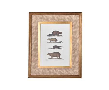 Quadro Animais Selvagens