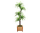 Planta Permanente Yucca Verde, Verde | WestwingNow