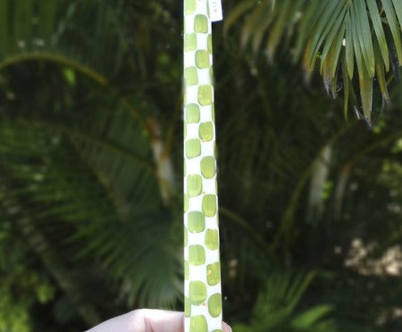 Jogo de Velas Dupla Checkboarder Verde | Westwing