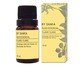 Óleo Essencial de Ylang-Ylang - 5ml, Colorido | WestwingNow