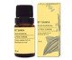 Óleo Essencial de Litsea Cubeba Verbena Tropical - 10ml, Colorido | WestwingNow