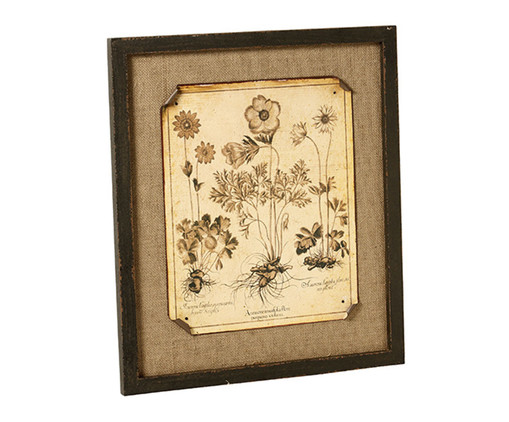 Quadro Flowers Studies Envelhecido, Natural | WestwingNow