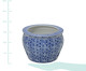 Cachepot em Porcelana Linda - Azul e Branco, Branco, Azul | WestwingNow