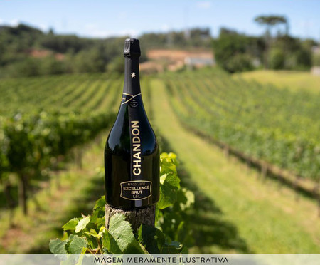 Magnum Excellence Cuvee Prestige com Estojo - 1,5L | WestwingNow