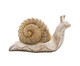 Adorno Caracol II Natural e Branco, Natural | WestwingNow