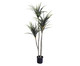 Planta Permanente Dracena Verde, Verde | WestwingNow