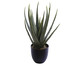 Planta Permanente Aloe Vera Verde, Verde | WestwingNow